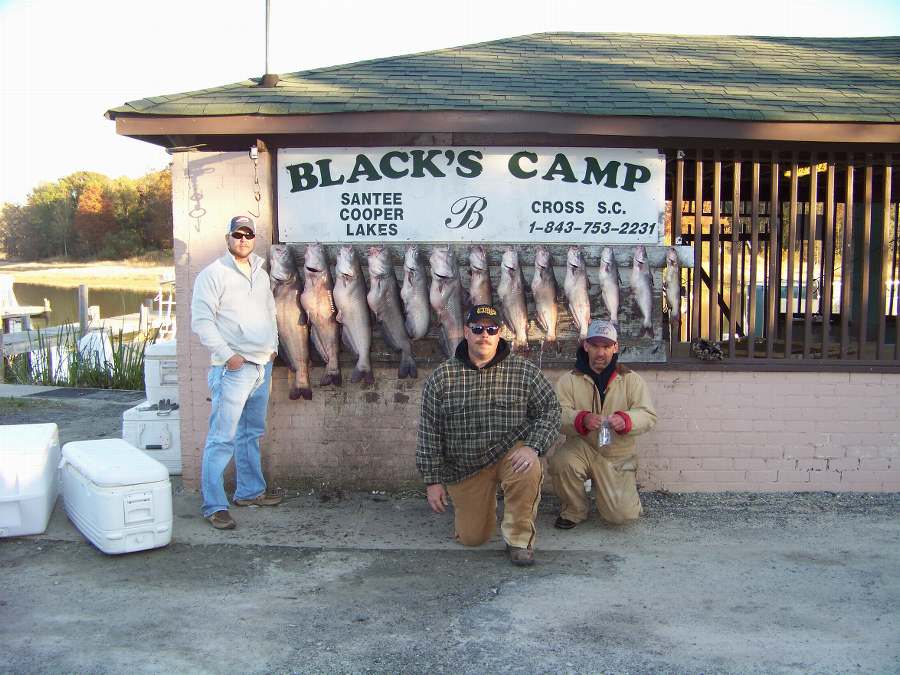 Pat, Jason, and Ryan managed to fill the box on day one of a two day trip!  Big fish was 31lbs. and four more over 20lbs. each.  11-19-08