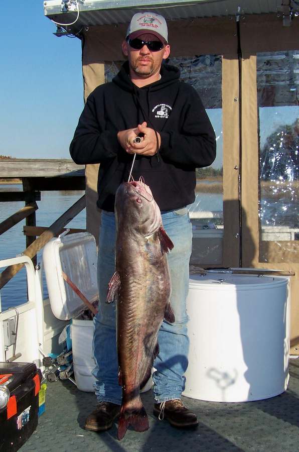 Jason with the biggest fish of day two at 35lbs.+  11-20-08