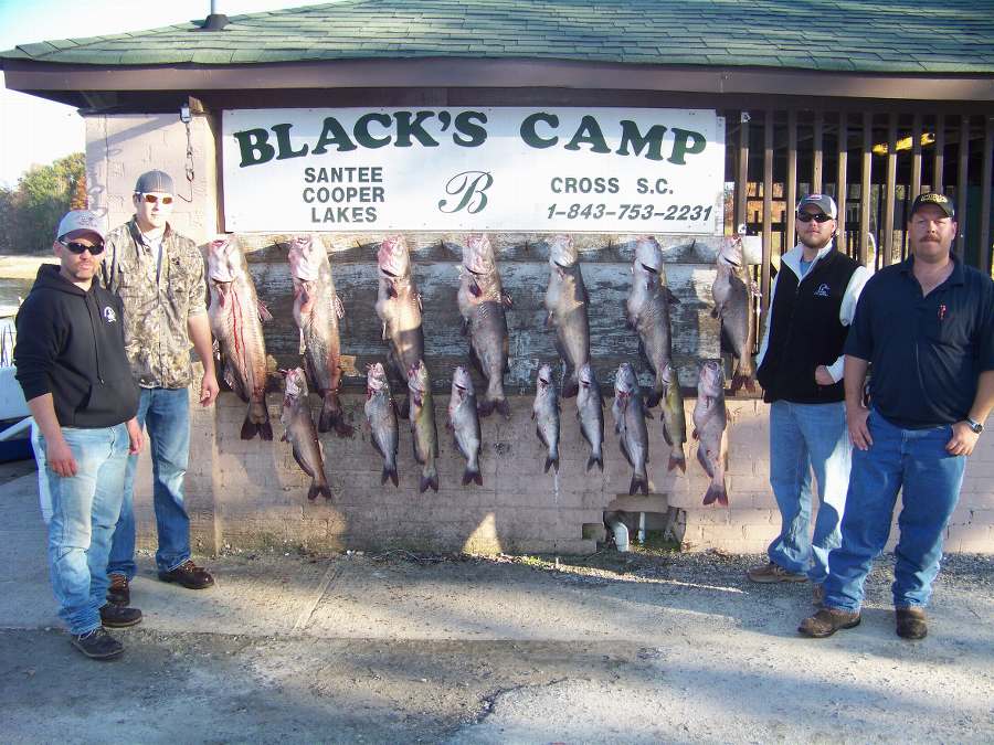 Pat, Jason, Ryan, and Miles managed to fill the box in less than 4hrs. on day two 11-20-08.  Big fish was 35lbs.+ and five more weighing in at over 20lbs. each!  WHAT A GREAT GROUP OF GUYS! 