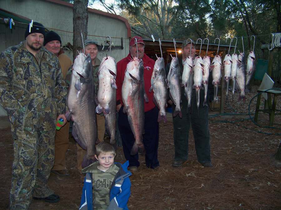 Little David, Travis, Grady, W.D. ,Marty, and Ken battled temps. in the teens to catch this mess of fish including a 38 pounder and a pair of 24 pounders.  1-17-09