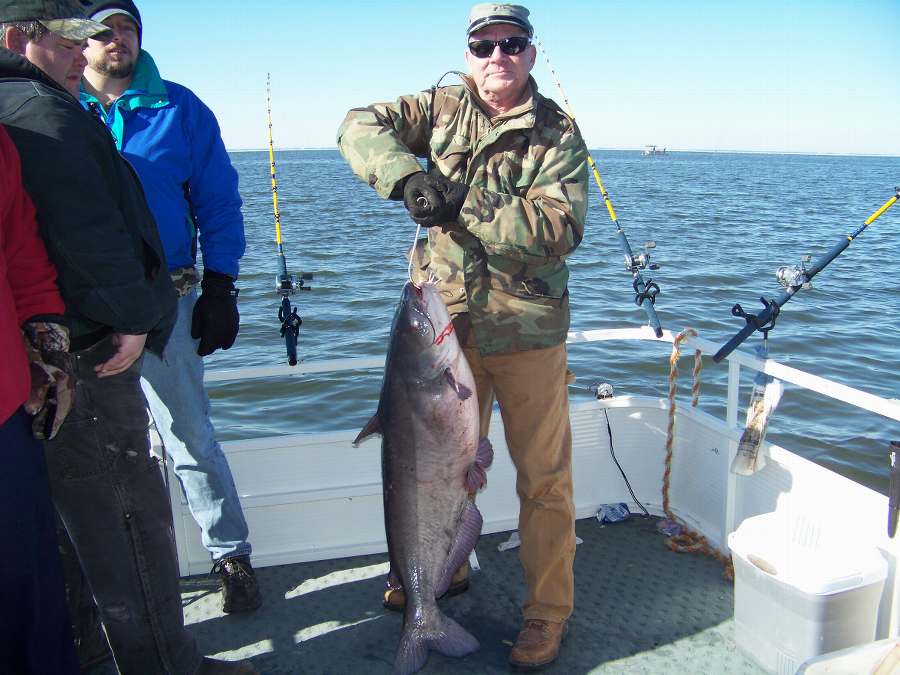 W.D.  (aka water depth) with a 38 pound lake Moultrie blue on 1-17-09