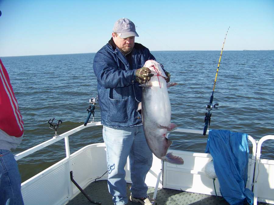 MIKE WITH THE BIGGEST OF 21 FISH FOR THE DAY AT 38 POUNDS.  THIS FISH WAS ONE OF 5 FISH RELEASED TODAY.  1-31-09