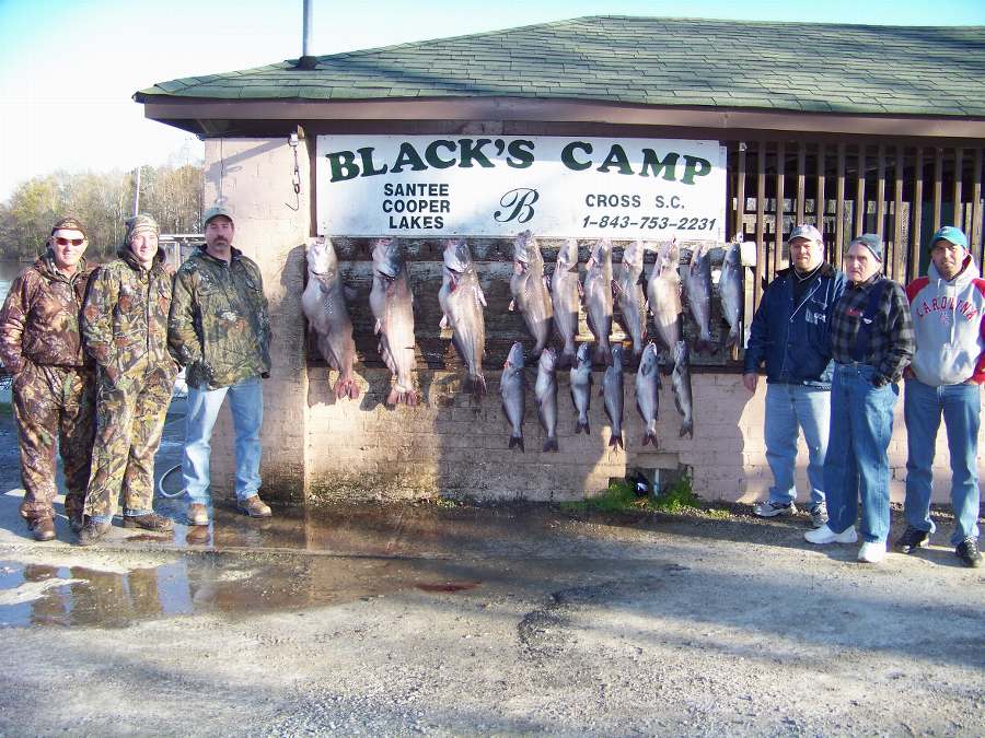 CHARLES AYERS AND HIS FAMILY POSE WITH THEIR DAYS CATCH.  BIG FISH WERE 37LBS. (RELEASED), 36LBS, 34LBS, AND 26LBS.  FIVE MORE FISH WERE RELEASED TODAY 1-31-09