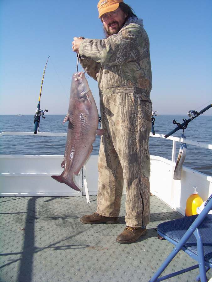 The best fish of the day at 31 pounds.  2-7-09
