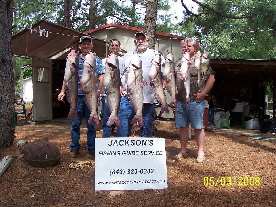 BIG DAN AND HIS FRIENDS WITH A BUNCH OF PIGS!
5-3-08