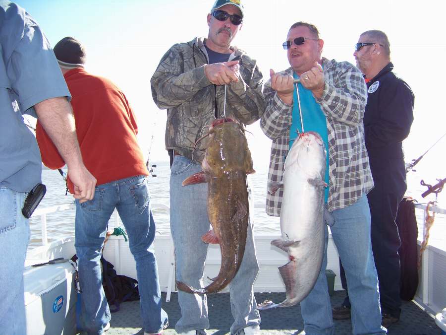 TROUT AND NEIL WITH A 24 POUND FLATHEAD AND A 31 POUND BLUE AND ANOTHER ONE ON THE WAY!  3-13-10