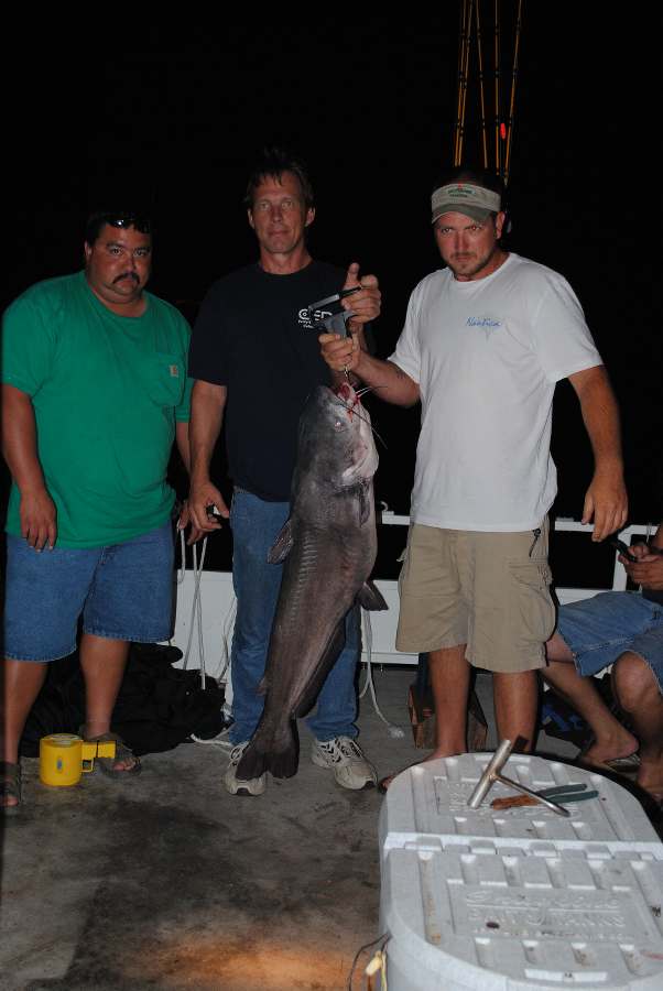 THE BIGGEST OF 14 FISH FOR THE NIGHT AT 44 POUNDS!   9-10-10